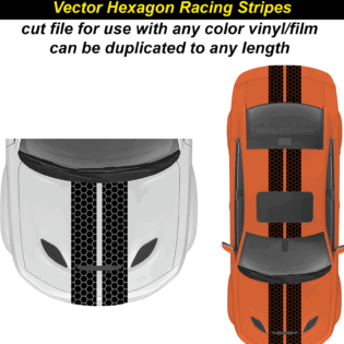 Vector Hexagon Racing Stripes