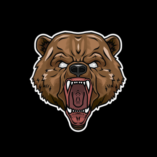 bear head logo