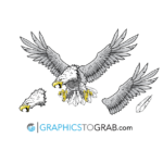 Bald Eagle vector 1